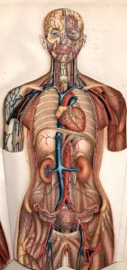 1BCFA7EF-724D-4359-96A6-61AA3CD1A793